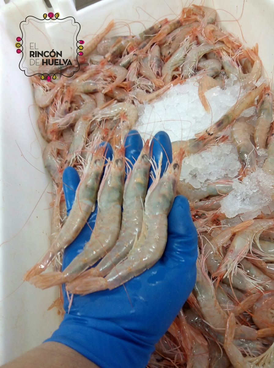 Gambas seleccionado por el Mesón Juan Antonio